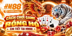 Cách Chơi Rồng Hổ Chi Tiết Cho Người Mới Tại HM88