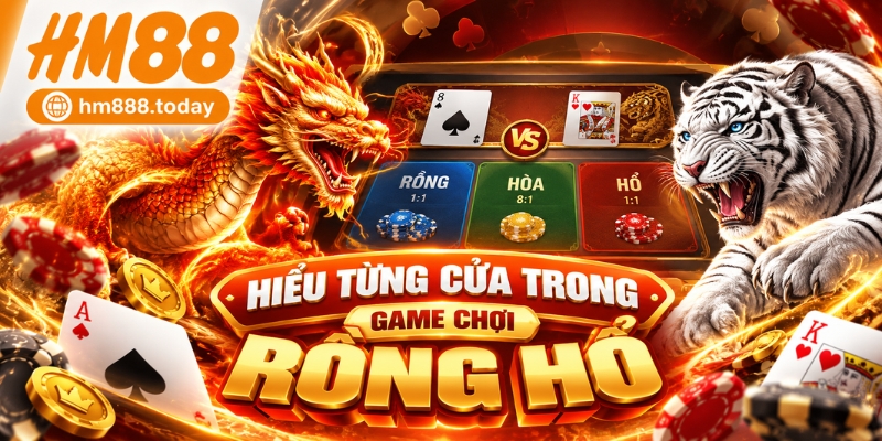 Hiểu từng cửa cược trong cách chơi Rồng Hổ
