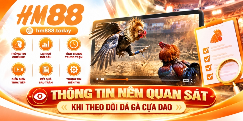 Thông tin nên quan sát khi theo dõi Đá Gà Cựa Dao