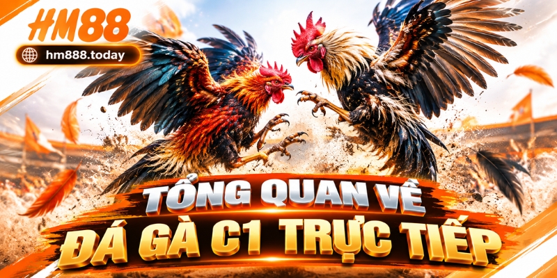 Tổng quan về Đá Gà C1 Trực Tiếp